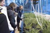 Matthias Rillig, Professor für Pflanzenökologie, nahm seine Gäste mit auf eine Tour durch die Gewächshäuser seiner Arbeitsgruppe.