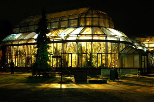 Die Palmensinfonien im Botanischen Garten finden im Februar und März statt.