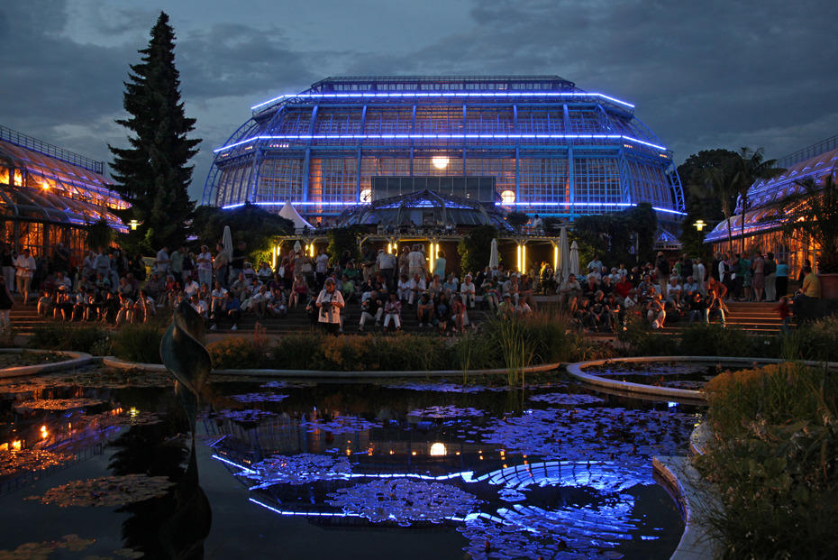 Gewächshäuser wurden während der Botanischen Nacht zu illuminierten Palästen.