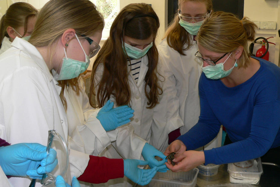 Naturwissenschaftliche und technische Berufsfelder stehen beim Girls’ Day im Mittelpunkt.