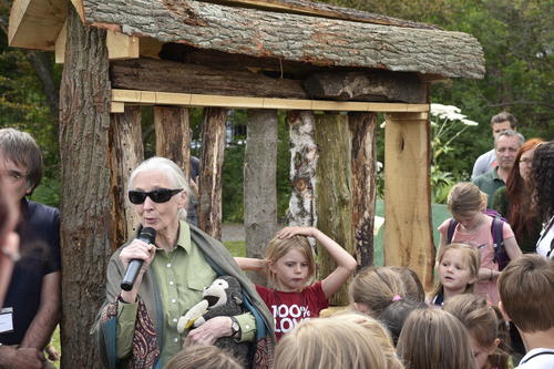 Die britische Verhaltensforscherin Jane Goodall eröffnete ein Wildbienenhotel im Botanischen Garten.