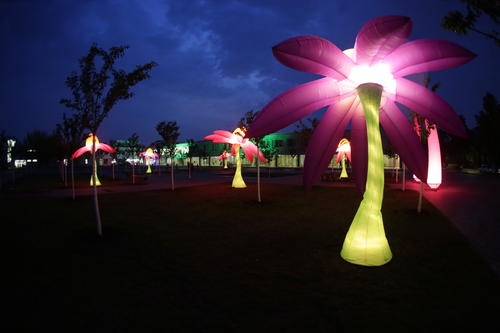 Leuchtende Blumen wiesen Besuchern der Langen Nacht der Wissenschaften 2015 den Weg.