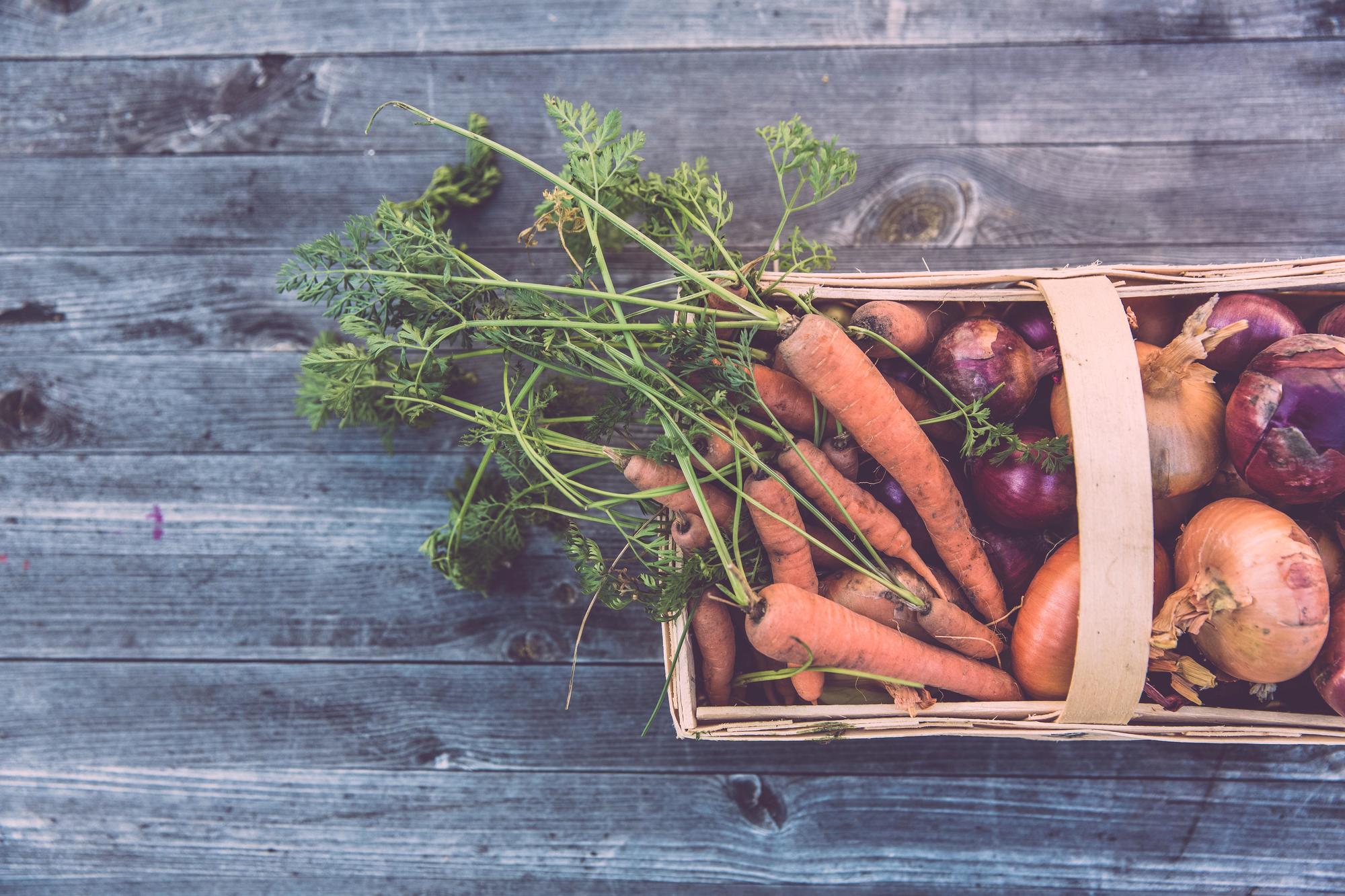 Auf Plastik verzichten, nur regionale und saisonale Lebensmittel essen und Kleidung und Möbelstücke selber machen, statt sie neu zu kaufen: Sustain it! ruft zur Teilnahme an drei Challenges auf.