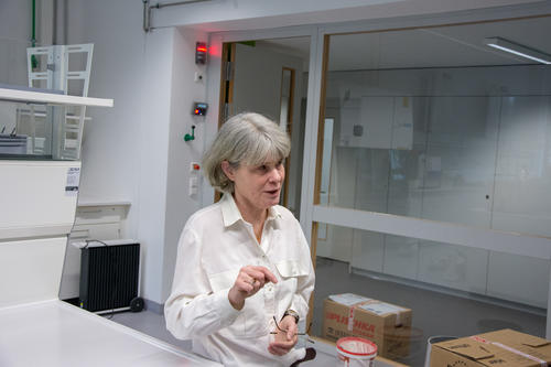 Prof. Dr. Petra Skiebe-Corrette leitet das Mitmach- und Experimentierlabor NatLab.