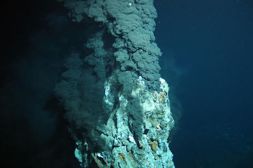 Rohstofffabrik am Meeresboden: In 1500 bis 3000 Meter Tiefe lagern sich Metallsulfide um schwarz rauchende Schlote ab.