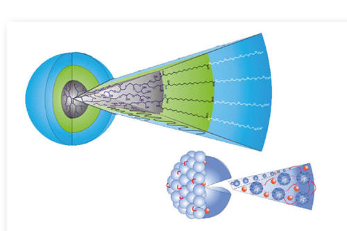 Medikamenten-Transporter im Nano-Format: "Nanocarrier" sind so aufgebaut, dass sie die Wirkstoffe an die Stelle im Körper transportieren, an der sie heilen sollen.