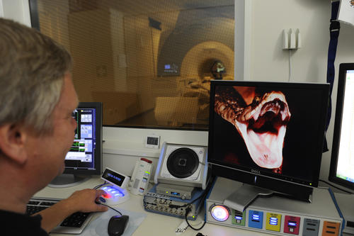 Während eines Versuchs sieht der Proband im MRT Stimulusmaterial - hier das Bild einer Schlange. Über Kontrollmonitore kann der Versuchsleiter das  gezeigte Material und das Geschehen im Scannerraum überwachen.