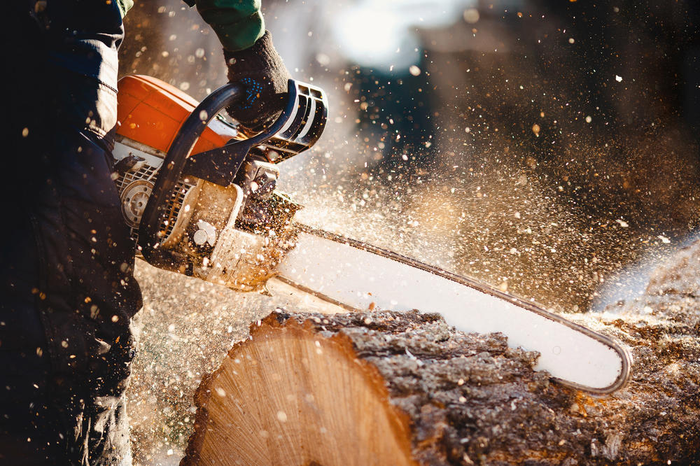 Mehr als Holzabfall: Sägespäne etwa könnten wertvolle Rohstoffe für die Industrie liefern.