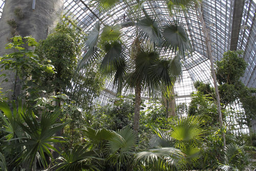 Ein Beispiel für eine gelungene nachhaltige Sanierung: das Große Tropenhaus im Botanischen Garten der Freien Universität Berlin.