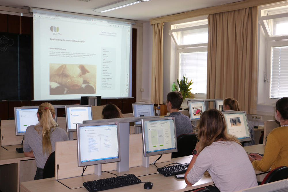 Beispielhaftes Lernen: Mit dem E-Learning-Angebot QuerVet können sich Studierende der Veterinärmedizin in den Alltag eines Tiermediziners hineinversetzen und ganz unterschiedliche Fälle am Bildschirm bearbeiten.