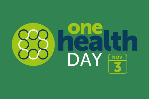 Der One Health Day ist eine weltweite Initiative verschiedener Fachrichtungen und Institutionen aus dem Gesundheitsbereich.