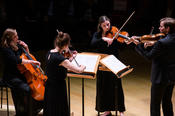 Ein Streicherquartett aus Musikerinnen und einem Musiker des Collegium Musicum spielte einen Satz aus Johann Sebastian Bachs 6. Brandenburgischen Konzert.