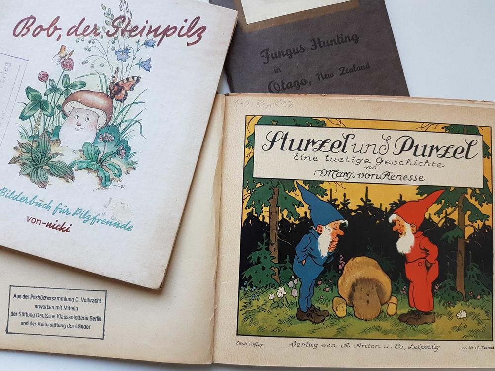 Sturzel and Purzel und Bob, the boletus – children’s books from the early 20th century.