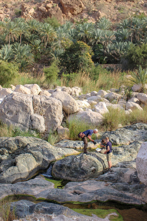 River beds, so-called wadis, such as the Wadi Tiwi, provide a change from the predominantly barren vegetation.