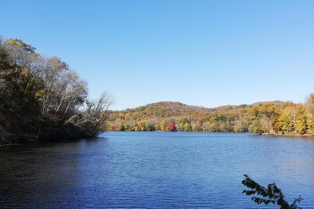 Radnor Lake, just outside of Nashville, is great for relaxing after the stress of exams.