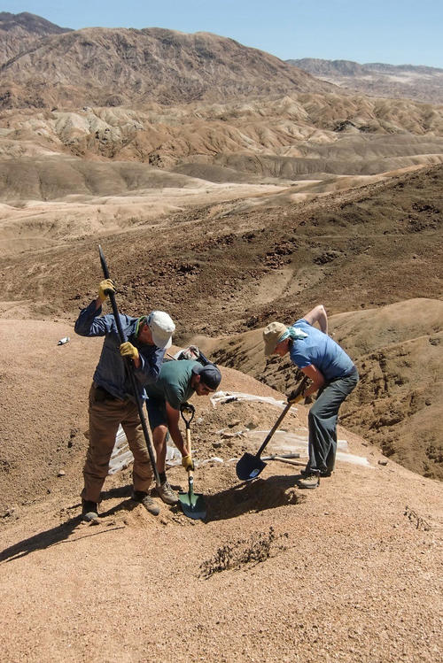 Backbreaking work: Researchers study the soil in Chile’s arid Pan de Azúcar National Park. The rugged landscape is the product of erosion, as the rare precipitation washes away a great deal of sediment due to the lack of vegetation.