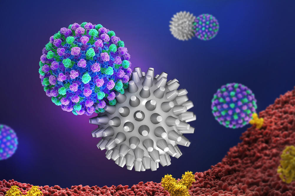 The virus surface (pictured as blue and green) is prevented by the spikes on the multivalent nanoparticles (gray) from latching onto the cell membrane (red), which effectively prevents infection.