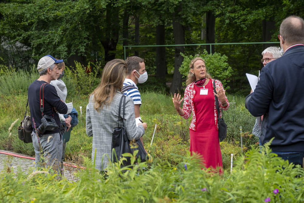 Elke Zippel, curator of the Dahlem Seed Bank, is an expert on the conservation of endangered native wild plants.