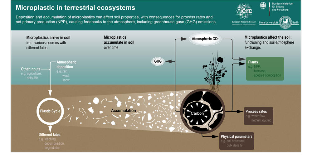 Microplastics in soil and the associated feedback in the ecosystem.