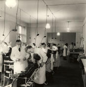 1949 – Dental students practicing in the treatment room of the dental clinic during the hands-on part of their training.