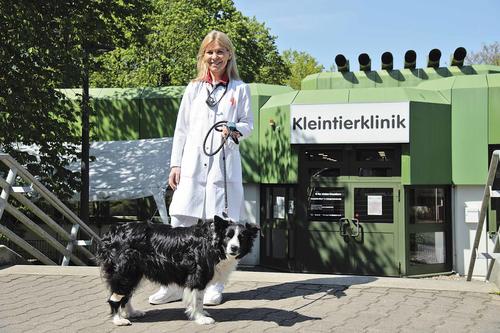 The head of the small animal clinic, Prof. Dr. Barbara Kohn: "Pets give support and stability especially to elderly and single people."