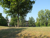 Recreational area on Campus Lankwitz