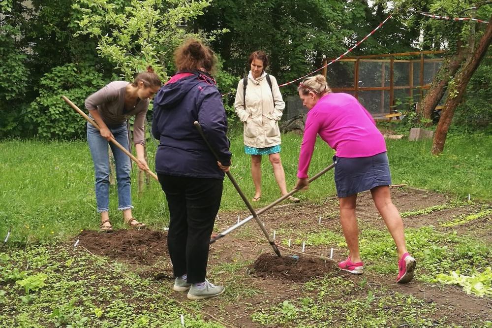 Der Runde GartenTisch lädt Schulen und Kitas zum Austausch ein.