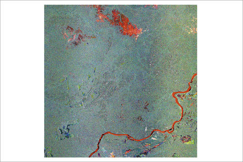 Das Satellitenbild zeigt mit potenzielle Rodungsgebiete an der Grenze der brasilianischen Bundesstaaten Rondônia und Amazonas.