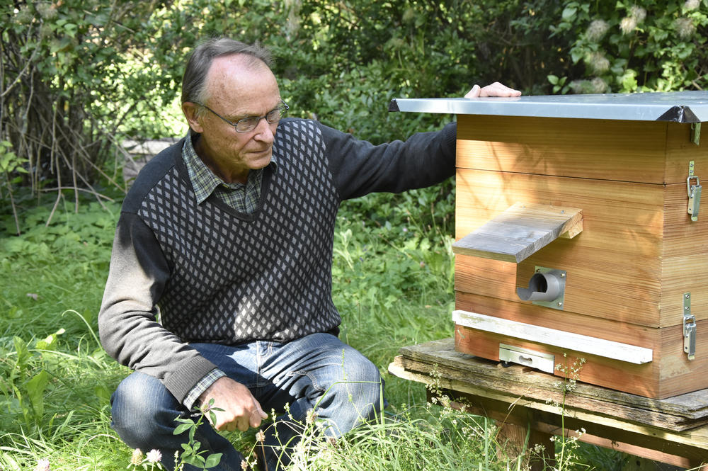 Randolf Menzel nutzt Bienenvölker, um Veränderungen der Umweltbelastung zu untersuchen. Die Bienen dienen dabei auch als Indikator für den Zustand von Ökosystemen.