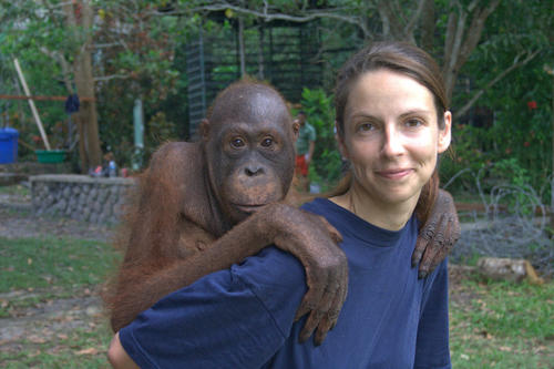 Erzeugen solche gemeinsamen Abbildungen ein falsches Bild von der Natur des Affen? Katja Liebal in einer Auffangstation für Orang-Utans in Indonesien mit einem sieben Jahre alten Jungtier.