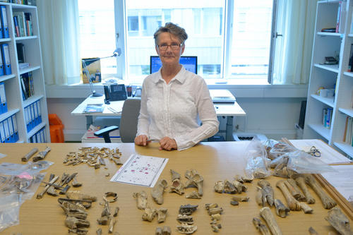 Cornelia Becker, Archäozoologin am Institut für Prähistorische Archäologie