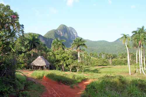 A scenic vista: The valley of Vinales, in the province of Pinar del Río, is surrounded by mogotes – steep karst hills under special protection for their unique plant life.