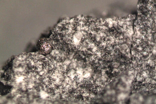 Die winzige Kugel aus Eisenmetall, die Forscher der Freien Universität aus dem Mondgestein freipräpariert haben, widerlegt Theorien, nach denen es die Mondlandung nie gegeben hat.