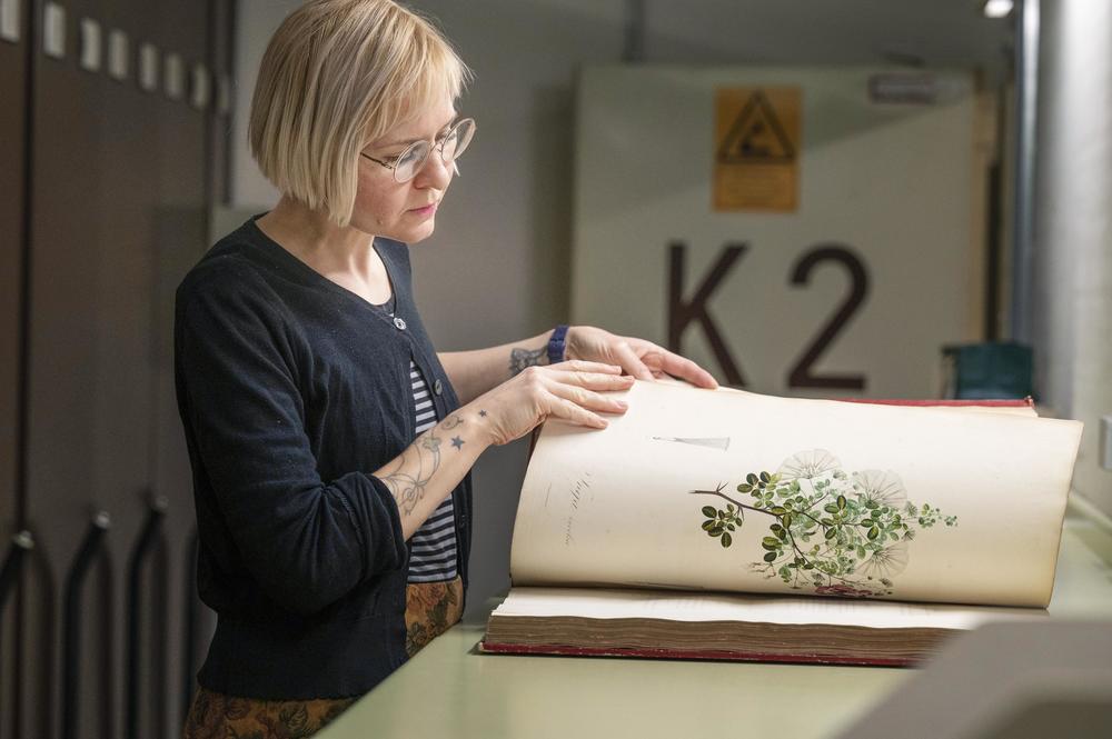Prachtband: Lisa Trzaska recherchiert die Herkunft einer reichhaltig illustrierten Ausgabe von Alexander von Humboldts Reisebericht zu Südamerika.