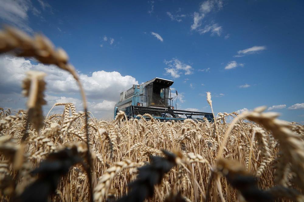 Ansicht einer untergegangenen Welt. Getreide kann in der Ukraine, wie hier nahe Kiew, derzeit weder ausgesät noch über Wasser oder Land exportiert werden.