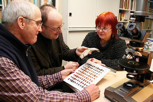Erfolgreiches Team. Professor Michael Meyer (Mitte) und seine Mitarbeiter Gerwulf Schneider und Malgorzata Daszkiewicz untersuchen jahrtausend alte Keramiken auf ihre Herkunft und Geschichte.