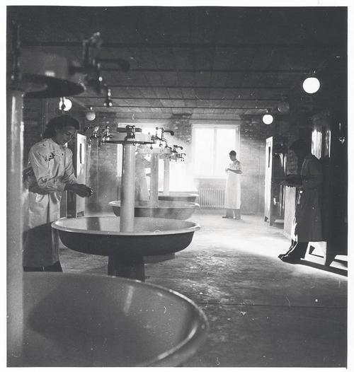 Sinks in the Institute of Anatomy on Königin-Luise Straße 15