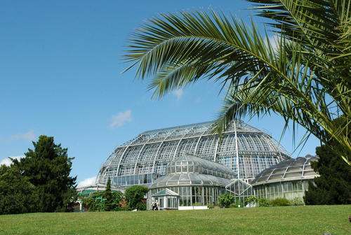 The large Tropical Conservatory in the Botanic Garden
