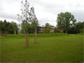 neu angelegter Campuspark mit Baumpflanzungen