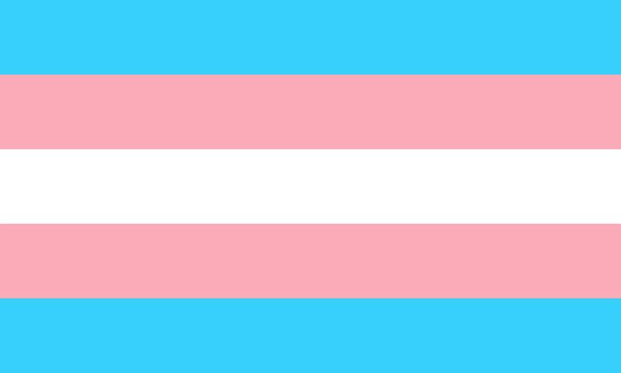 Die blau, pink und weiß gestreifte Trans*-Pride-Fahne wurde 1999 von Monica Helms, einer trans* Frau, Aktivistin und Autorin, entworfen