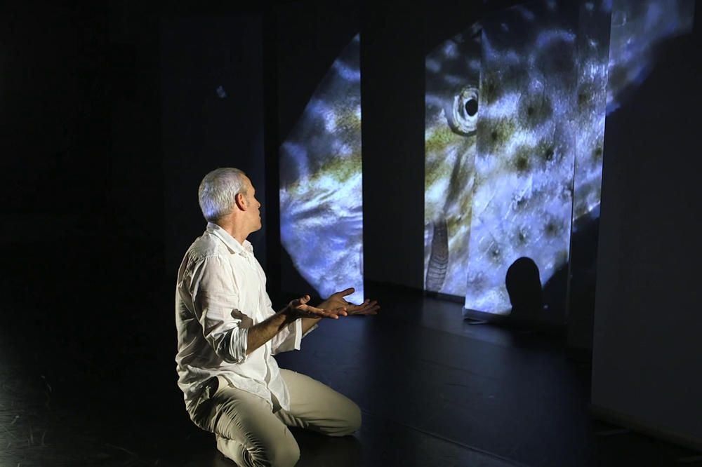 Kunst und Wissenschaft kommen beim "Theater des Athropozän" zusammen.