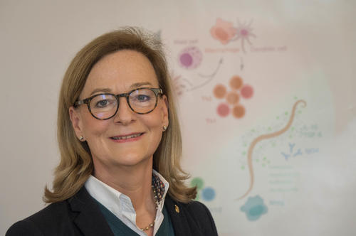 Dr. Susanne Hartmann ist Professorin für Infektionsimmunologie und Direktorin des Instituts für Immunologie; eines ihrer Spezialgebiete: der Schweinespulwurm.