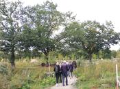 Beim Runden Tisch Kleingarten am 4. Oktober