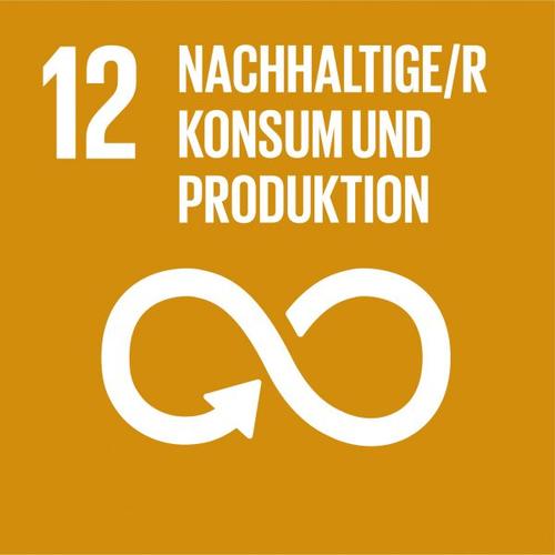 12 Nachhaltiger Konsum_Produktion