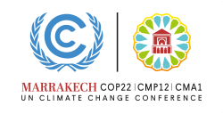 COP 22 in Marrakesch