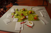 Lernstation 1: "Apfelschätze", Anja Fiedler