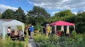 Workshop-Wiese mit Aktionsständen, links Färberpflanzenwerkstatt und rechts vorne Wild- und Honigbienenstand, rechts hinten Kräutertisch