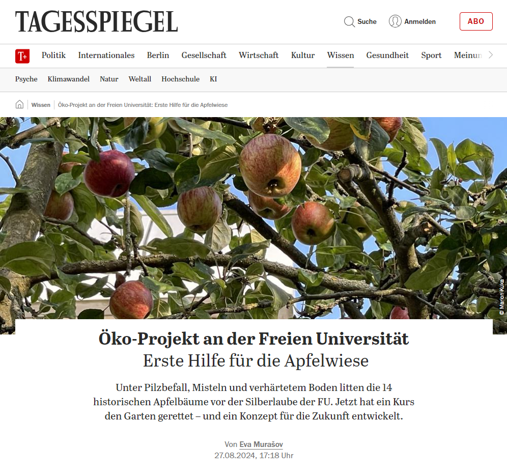 Tagesspiegel vom 27.08.2024