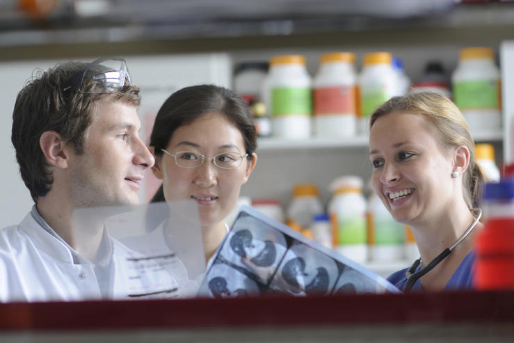 Experten aus verschiedenen Bereichen der Medizin, Biologie, Chemie, Informatik sowie der Sozial- und Geisteswissenschaften bilden in der Graduiertenschule gemeinsam Spezialisten für die Bekämpfung von Krebs aus.